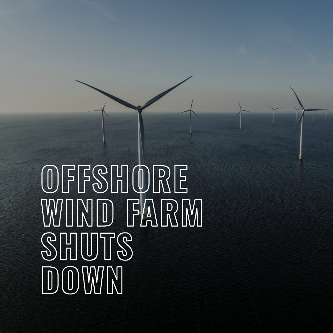 offshore windfarm